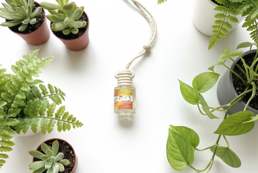 Cinnamon Swirl Scented Car Diffuser 8ml Clear Air Refresher Fragrance Oil