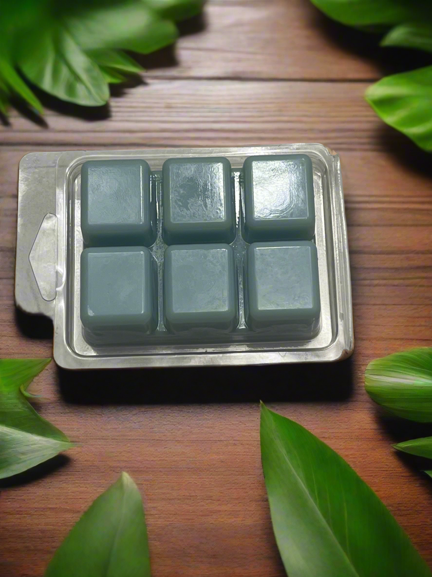 The Ideal Man Scented Wax Melt
