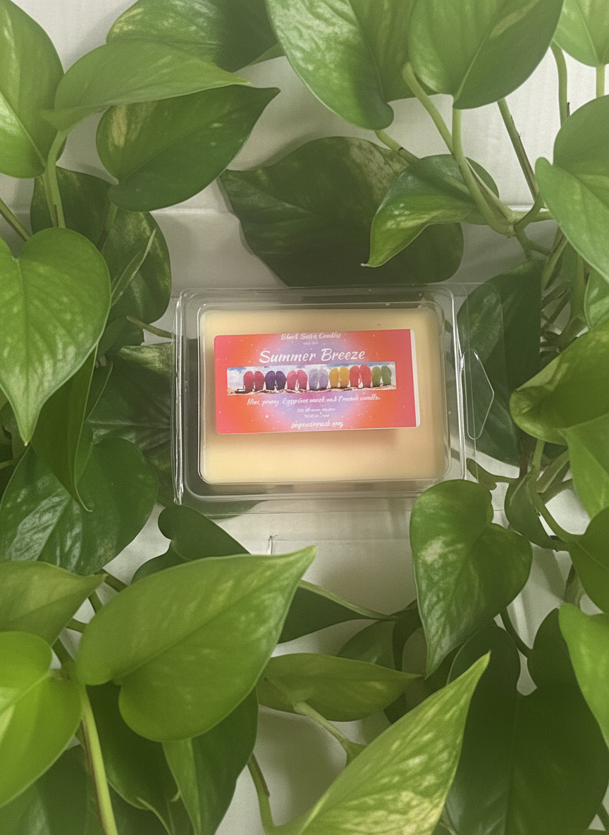 Summer Breeze Scented Wax Melt 2.5oz Six Cube Warmer Tart