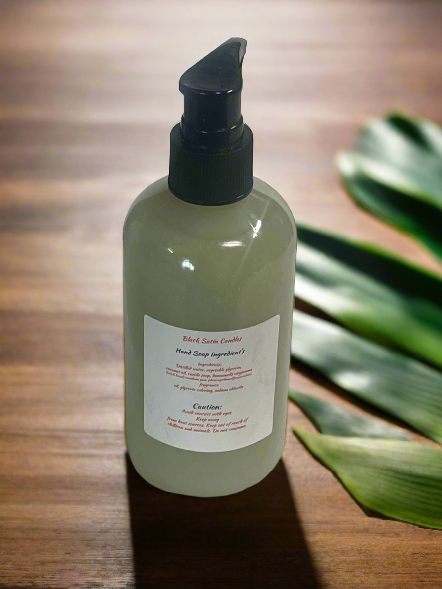 Apple Cinnamon Scented Liquid Hand Soap Size 8oz