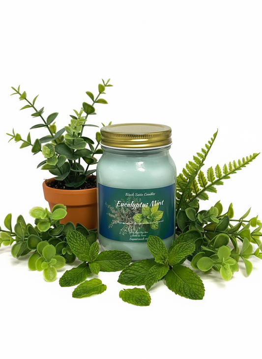 Eucalyptus & Mint Scented Candle 16oz Single Cotton Wick Glass Jar