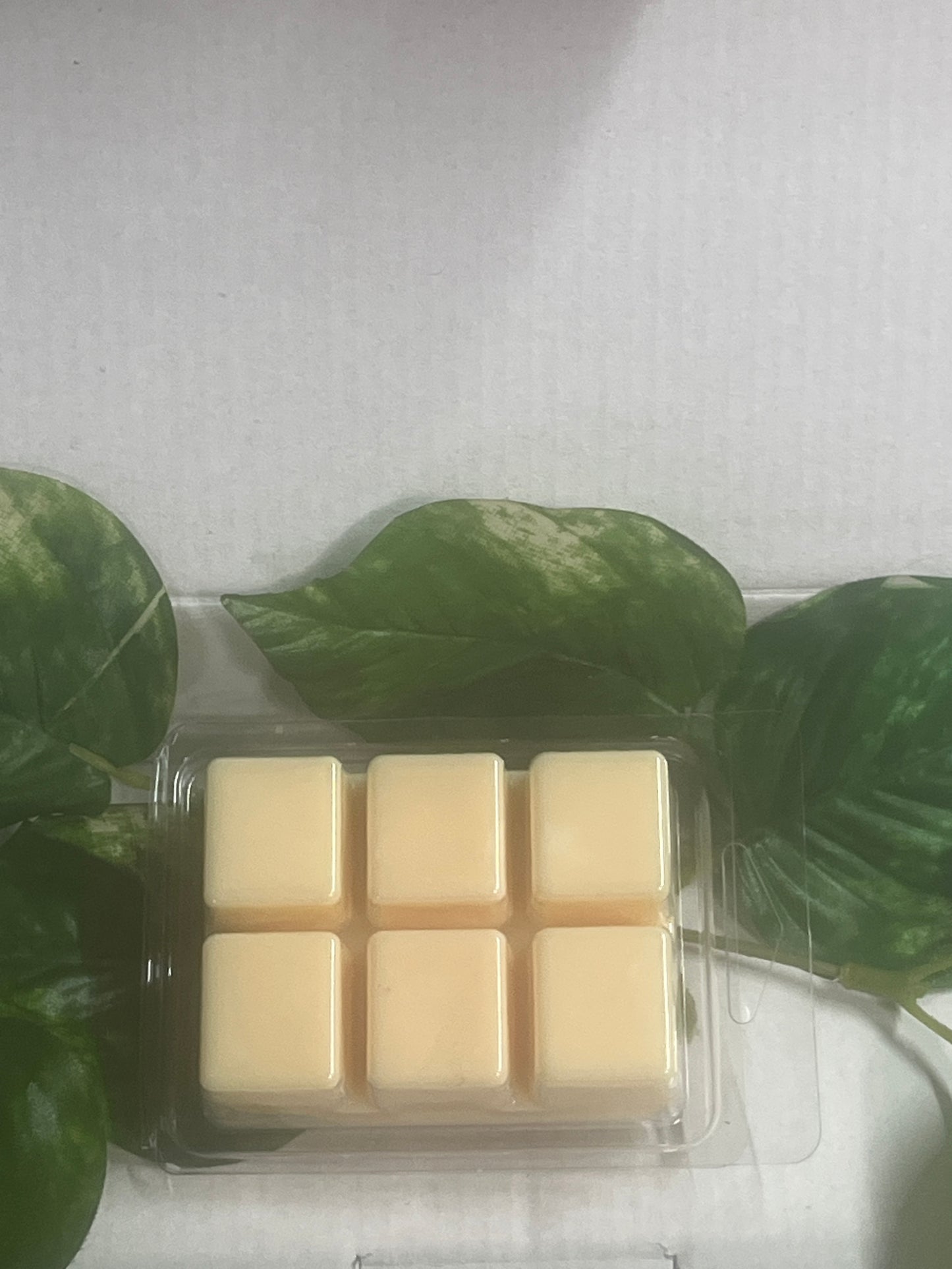 Summer Breeze Scented Wax Melt 2.5oz Six Cube Warmer Tart