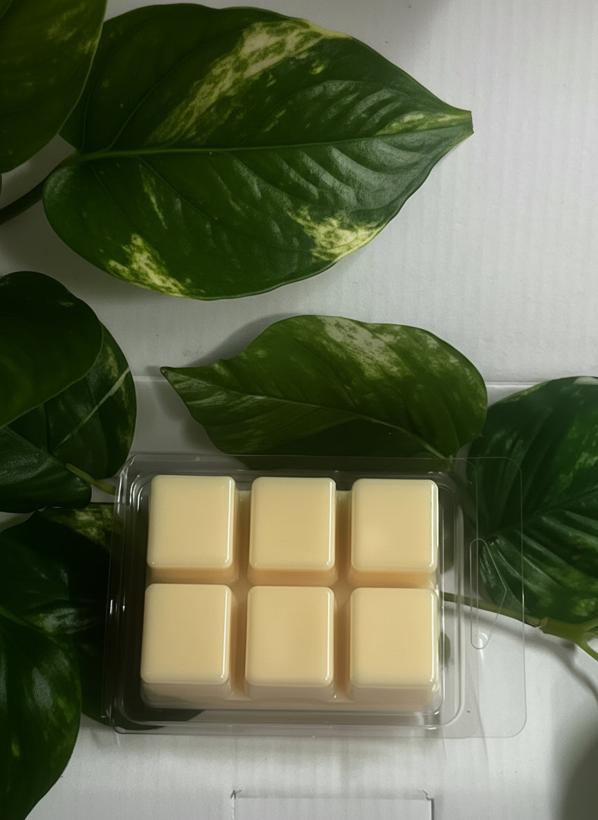 Summer Breeze Scented Wax Melt 2.5oz Six Cube Warmer Tart