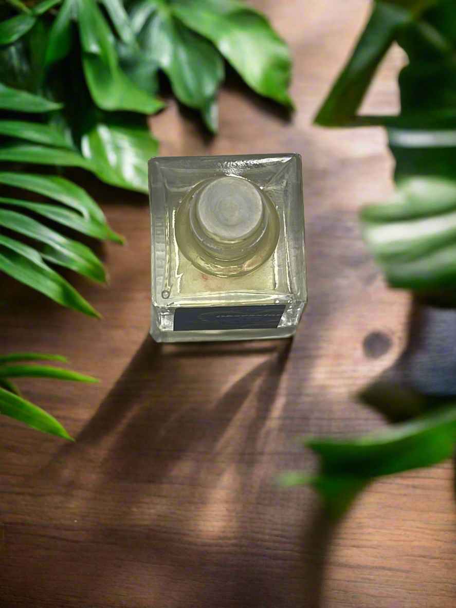 Obsession Scented Car Diffuser 8ml Clear Air Refresher Fragrance Oil