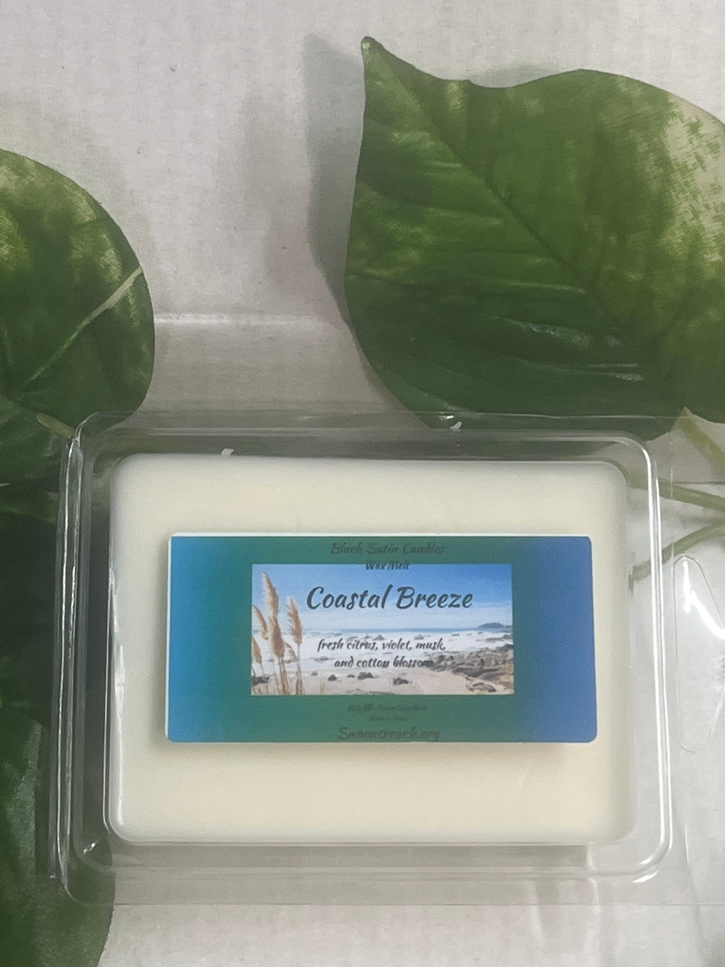 Coastal Breeze Wax Melts 2.5oz Six Cube Warmer Tart