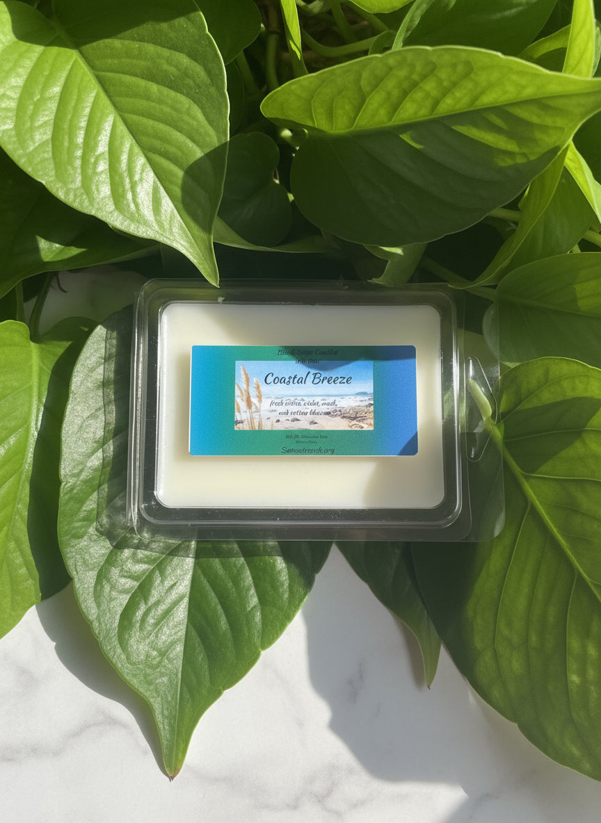 Coastal Breeze  Wax Melts 2.5oz Six Cube Warmer Tart
