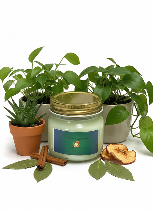 Apple Cinnamon Scented Candle 8oz Single Cotton Wick Glass Jar
