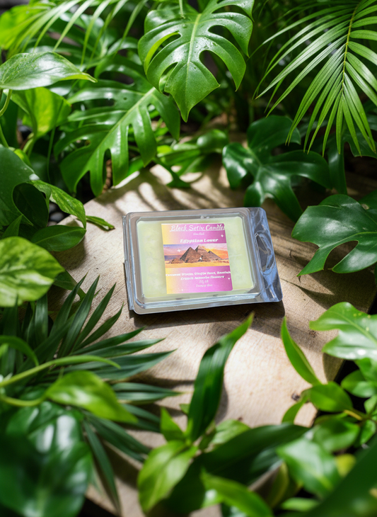 Egyptian Lover Scented Wax Melt 2.5oz Six Cube Warmer Tart