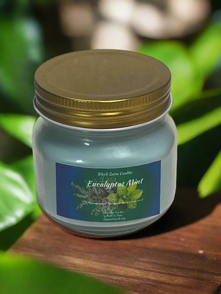 Eucalyptus & Mint Scented Candle 8oz Single Cotton Wick Glass Jar