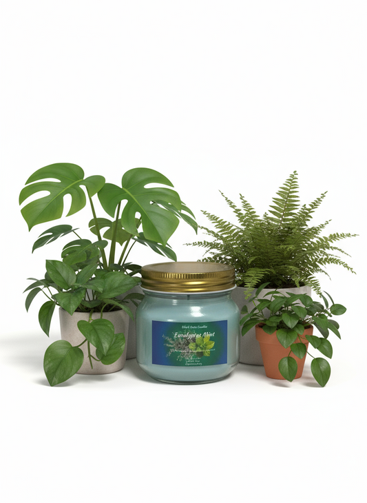 Eucalyptus & Mint Scented Candle 8oz Single Cotton Wick Glass Jar
