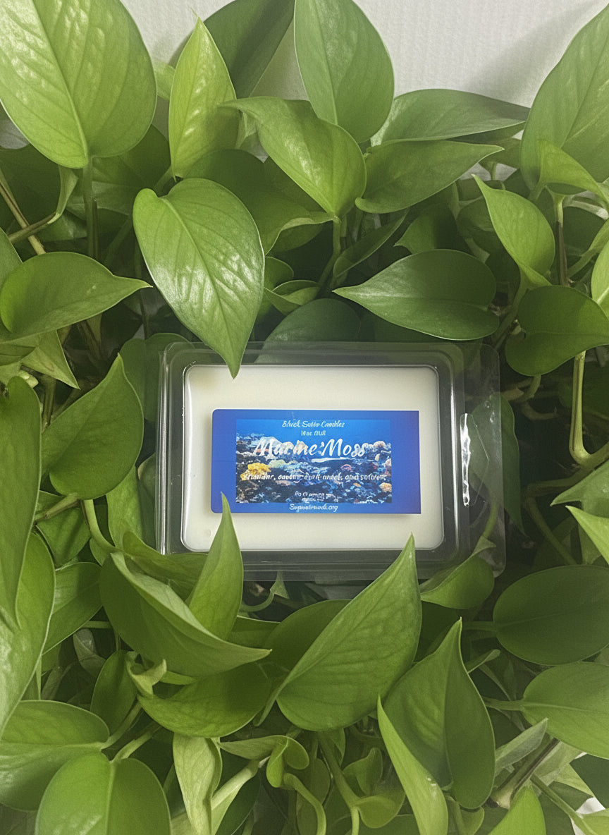Marine Moss Wax Melts 2.5oz Six Cube Warmer Tart