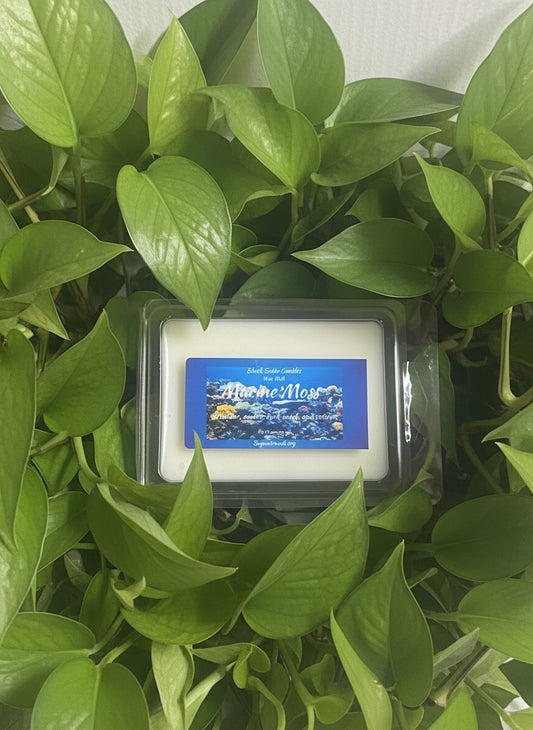 Marine Moss Wax Melts 2.5oz Six Cube Warmer Tart