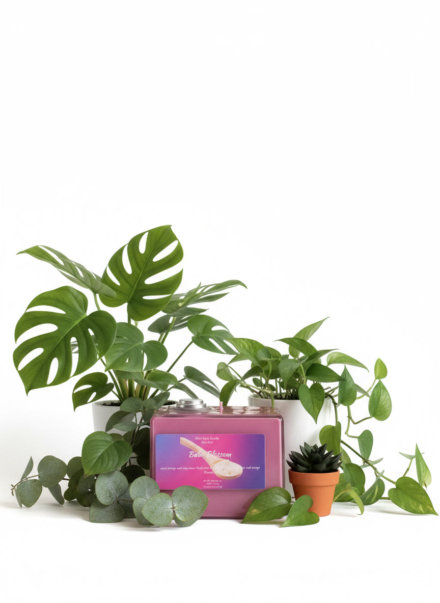 Babe Blossom  Wax Melts 2.5oz Six Cube Warmer Tart