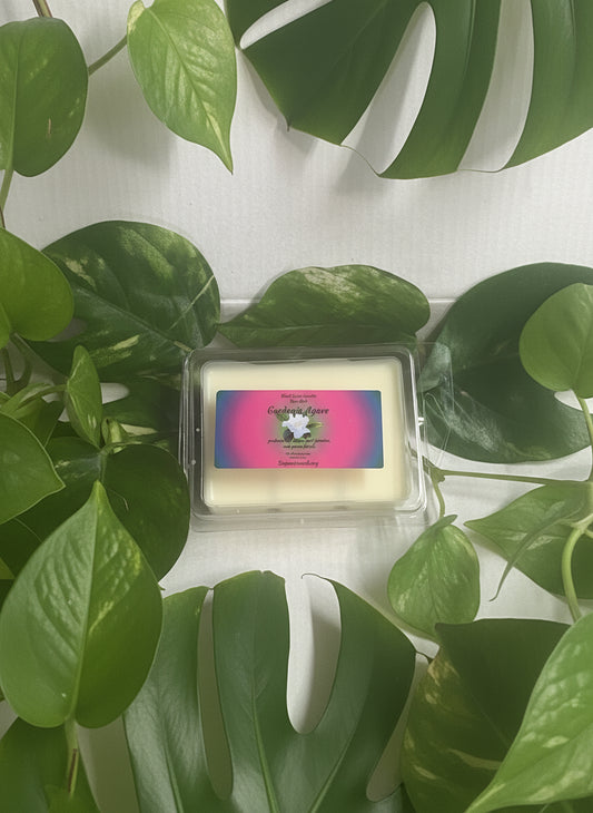 Gardenia Agave  Wax Melts 2.5oz Six Cube Warmer Tart