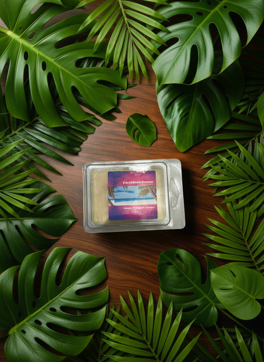 Caribbean Breeze Scented Wax Melt 2.5oz  Six Cube Warmer Tart