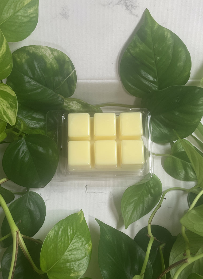 Sweet Citrus Crave Wax Melts 2.5oz Six Cube Warmer Tart