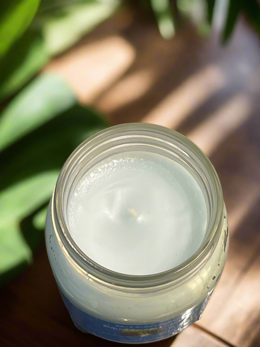 Blackberry Vanilla Scented Candle 16oz Wickless Glass Jar