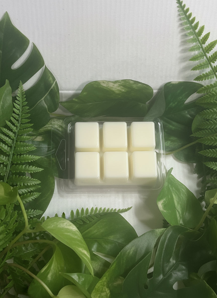Marine Moss Wax Melts 2.5oz Six Cube Warmer Tart