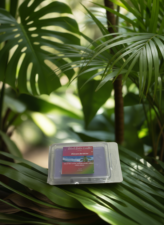 Ocean Breeze Scented Wax Melt 2.5oz Six Cube Warmer Tart