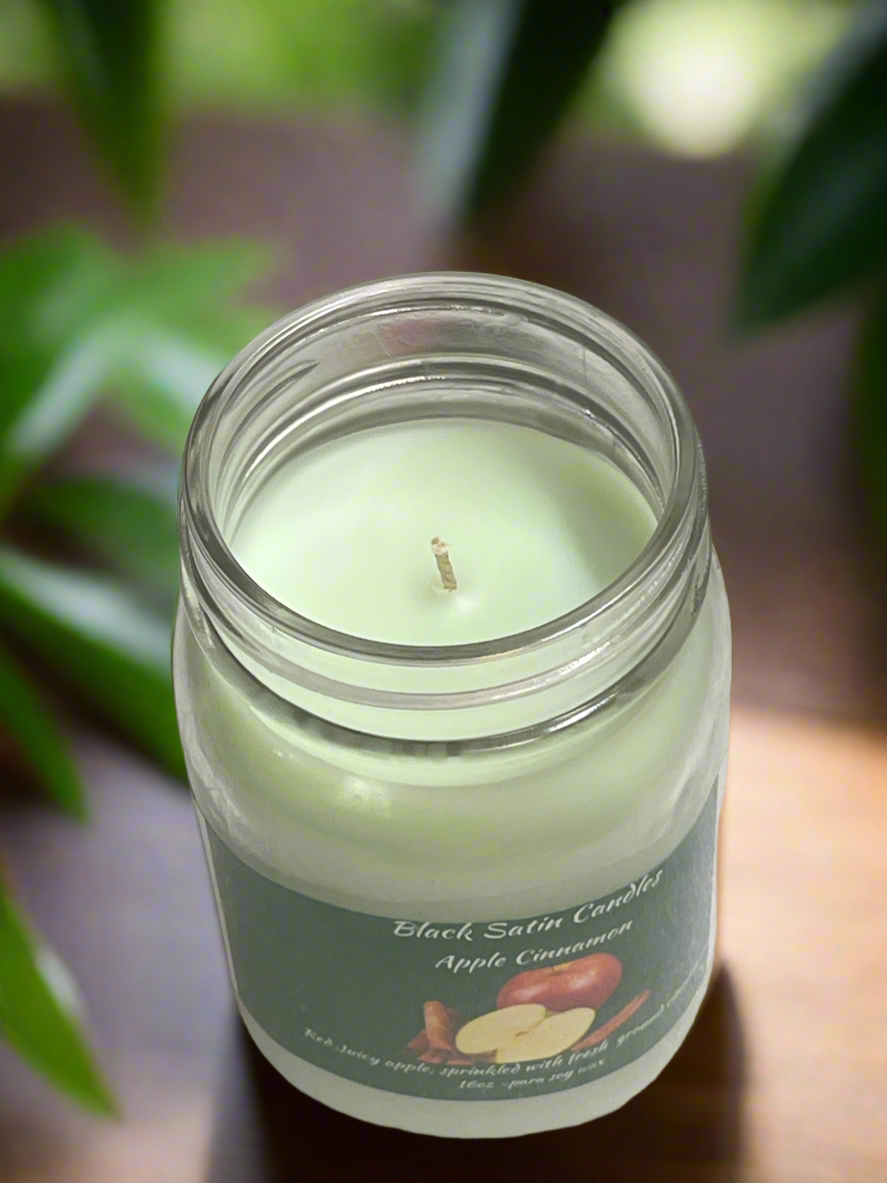 Apple Cinnamon Scented Candle 16oz Single Cotton Wick Glass Jar