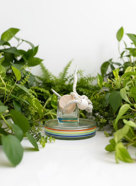 Georgia Peach Scented Car Diffuser 10ml Clear Air Refresher Fragrance Oil