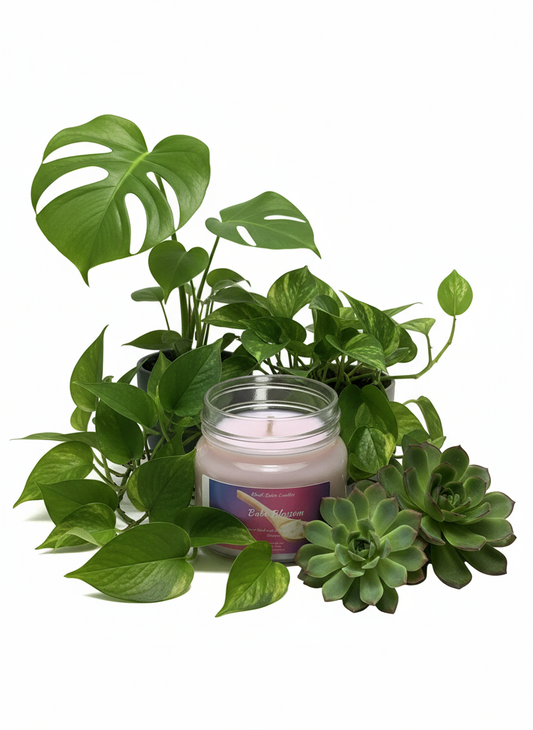 Babe Blossom Scented Candle 8oz Cotton Wick Glass Jar