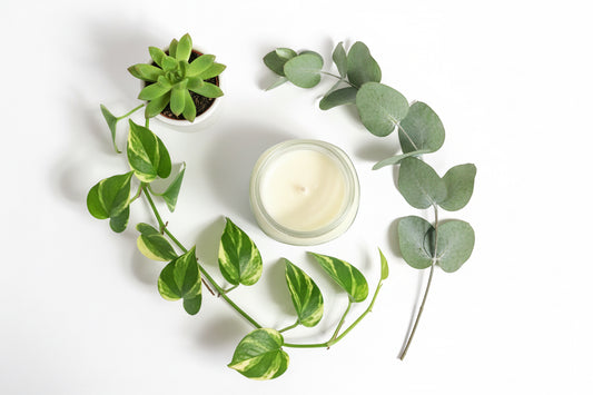 Bergamot Musk Scented Candle 8oz Single Cotton Wickless Glass Jar