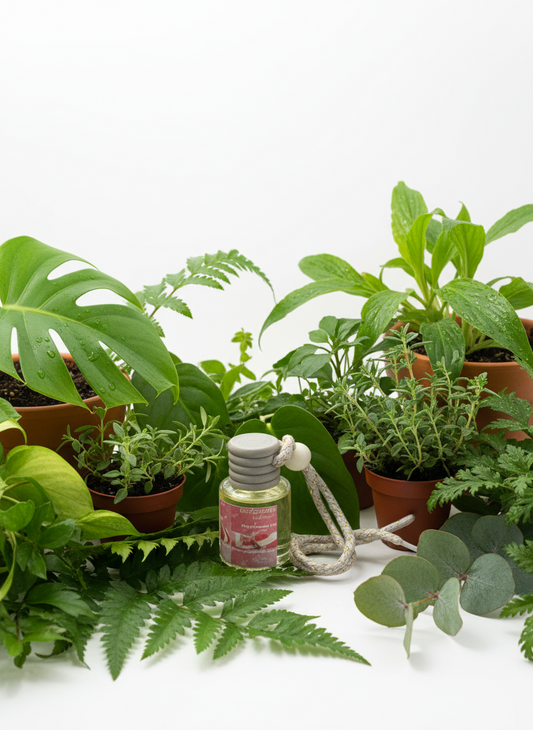 Peppermint Candy Scented Car Diffuser 8ml Clear Air Refresher Fragrance Oil