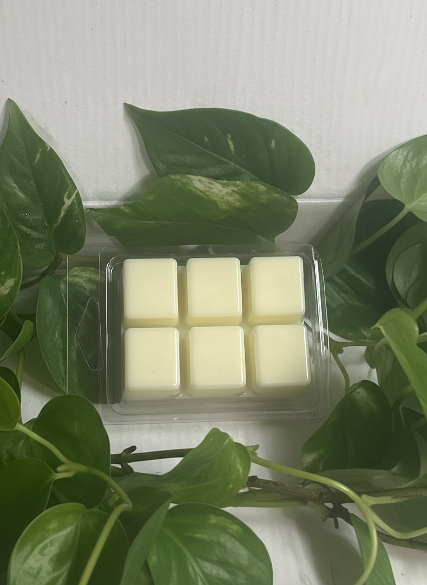 Gardenia Agave  Wax Melts 2.5oz Six Cube Warmer Tart