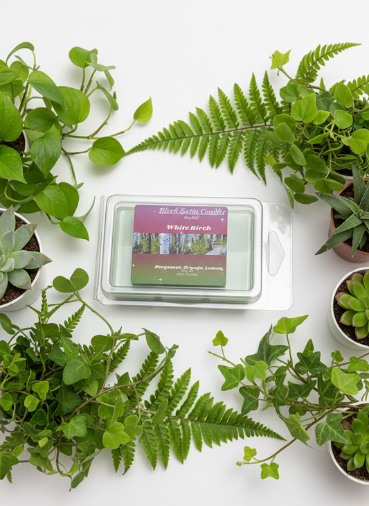 White Birch Scented Wax Melt 2.5oz Six Cube Warmer Tart