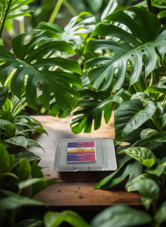 Passion Scented Wax Melts 2.5oz Six Cube Warmer Tart