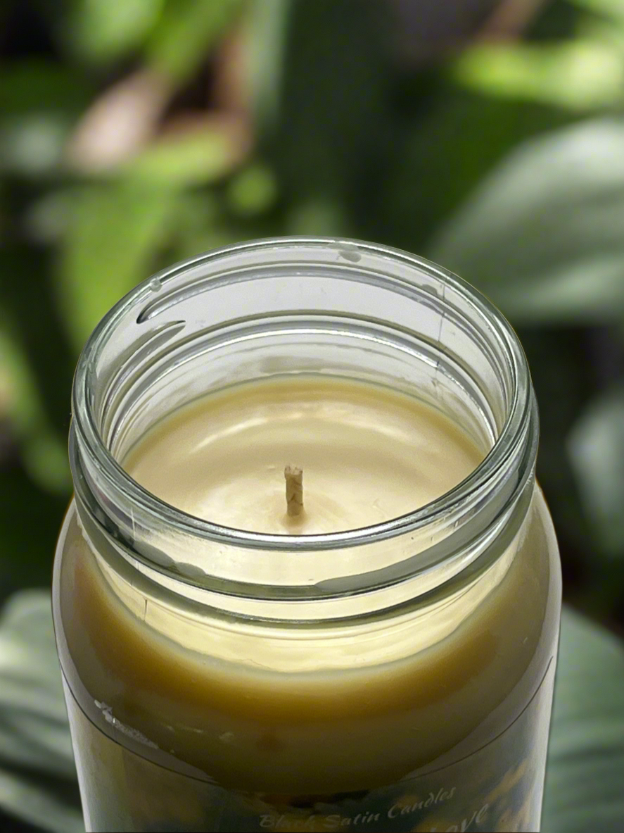 Twinberry Love 16oz Candle Cotton Wick Glass Jar