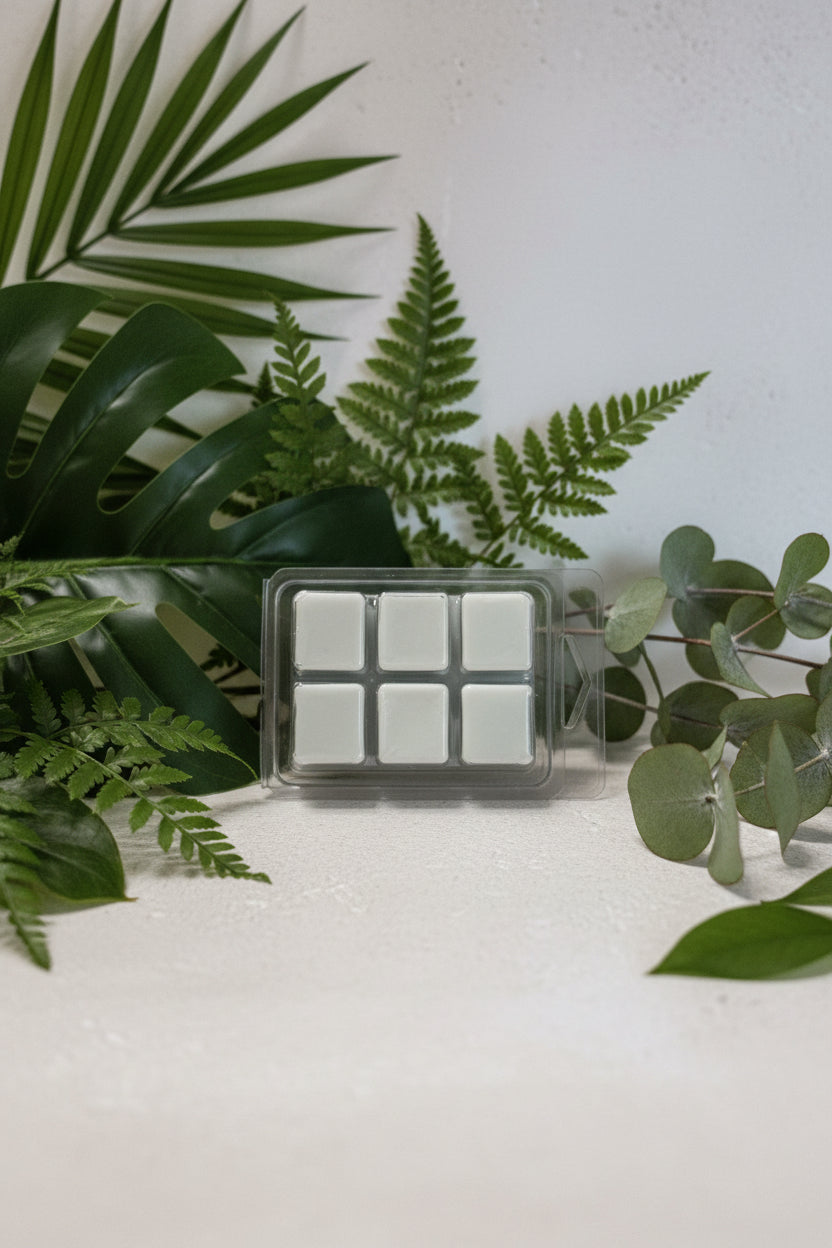 Passion Scented Wax Melts 2.5oz Six Cube Warmer Tart