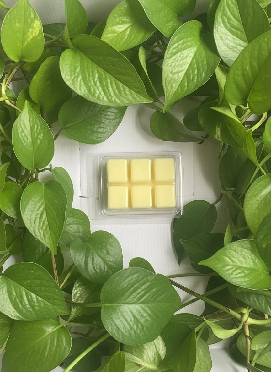 Vanilla Shortcake Wax Melts 2.5oz Six Cube Warmer Tart
