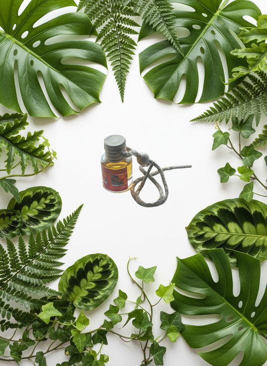 Pumpkin Spice Scented Car Diffuser 8ml Clear Air Refresher Fragrance Oil