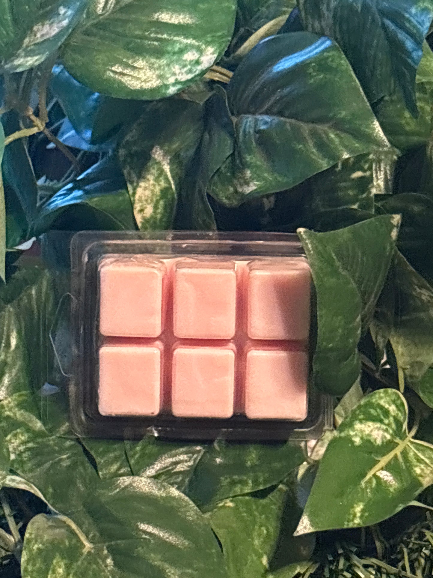 Christmas Day Scented Wax Melt 2.5oz Six Cube Warmer Tart