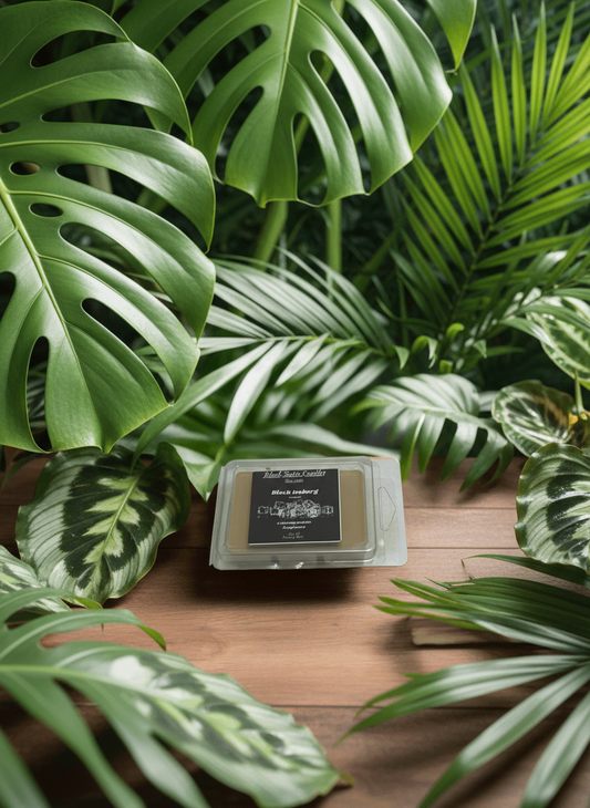 Black Iceberg Scented Wax Melt 2.5oz Six Cube Warmer Tart