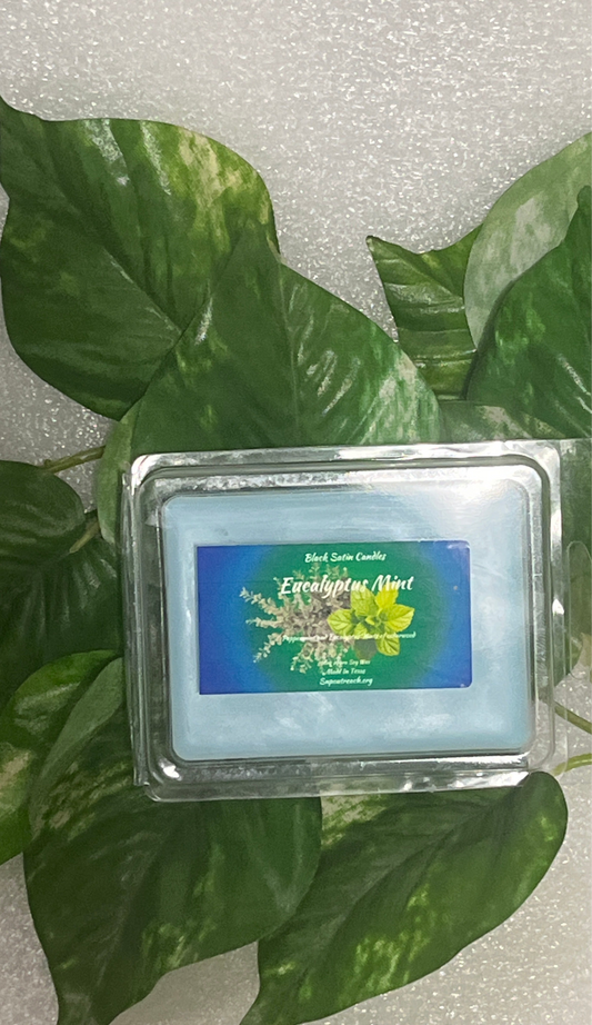 Eucalyptus & Mint Scented Wax Melt 2.5oz Six Cube Warmer Tart