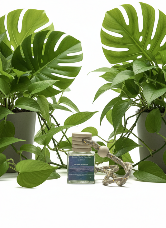 Ocean Breeze Scented Car Diffuser 8ml Clear Air Refresher Fragrance Oil