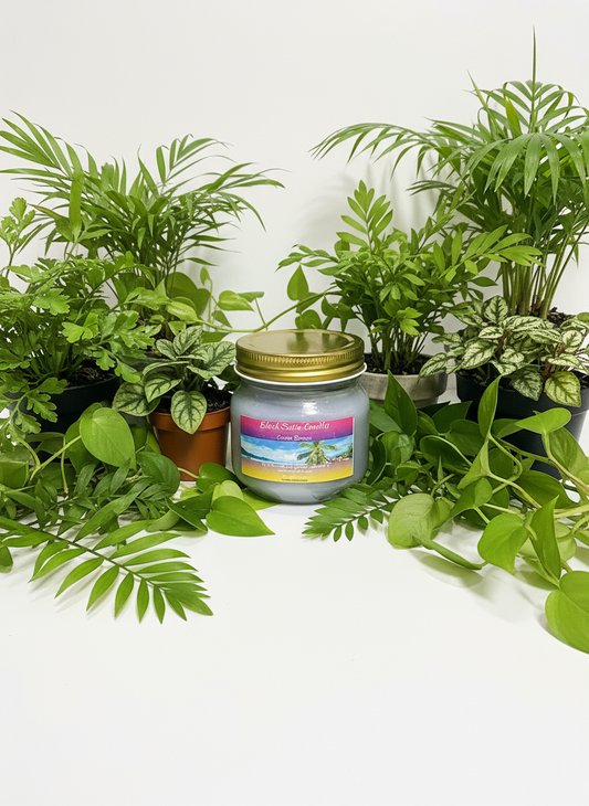 Ocean Breeze Scented Candle 8oz Jar Paraffin Soy Wax Cotton Wick