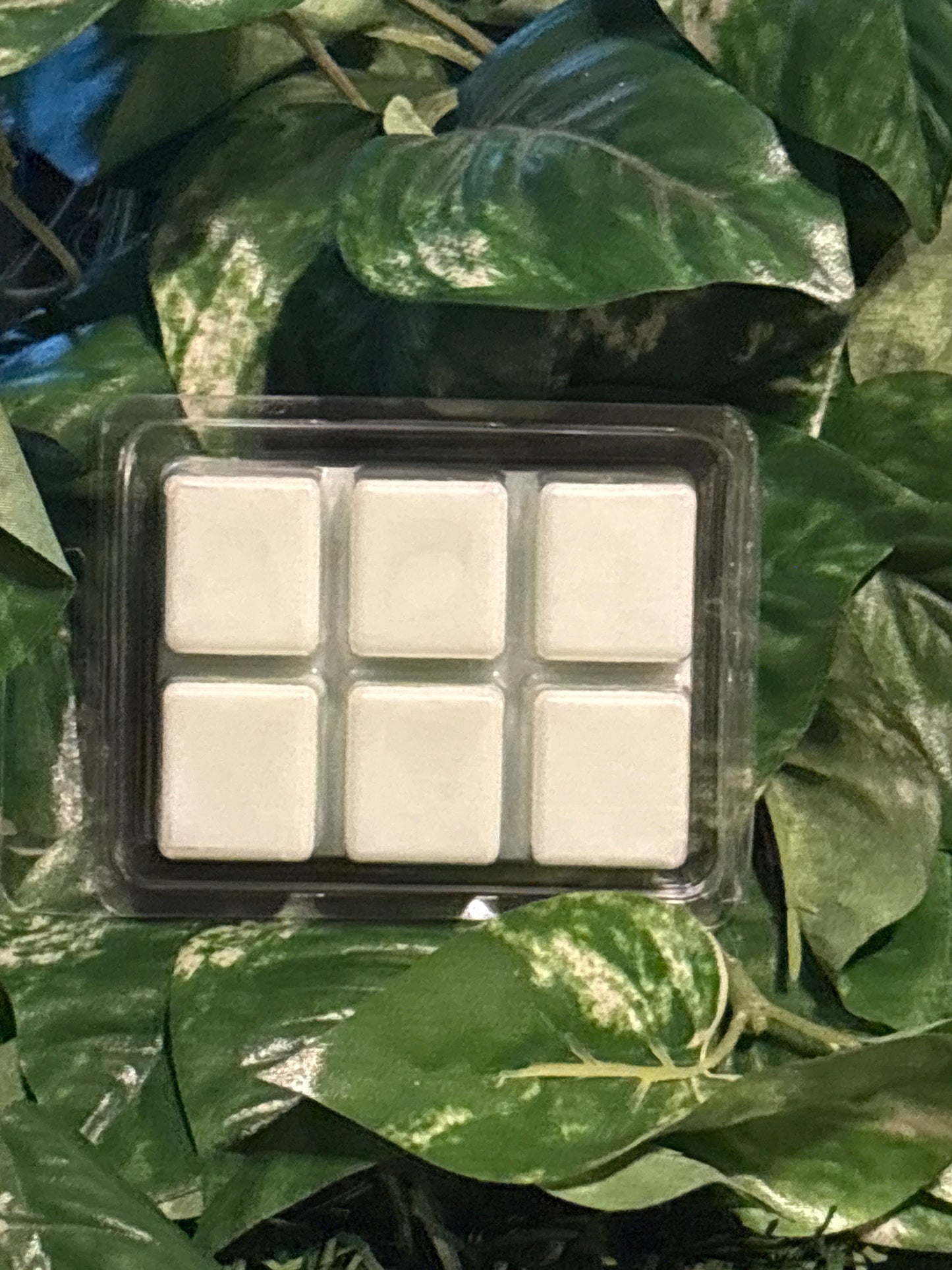 Blackberry Vanilla Scented Wax Melt 2.5oz Six Cube Warmer Tart