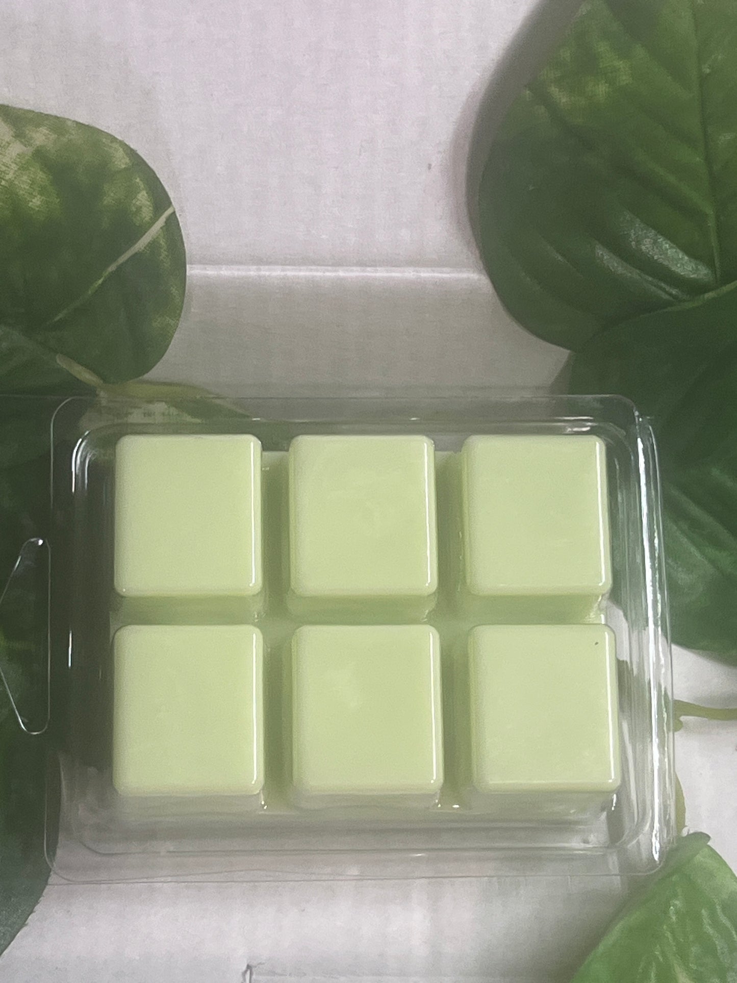 Bergamot Musk Wax Melts 2.5oz Six Cube Warmer Tart