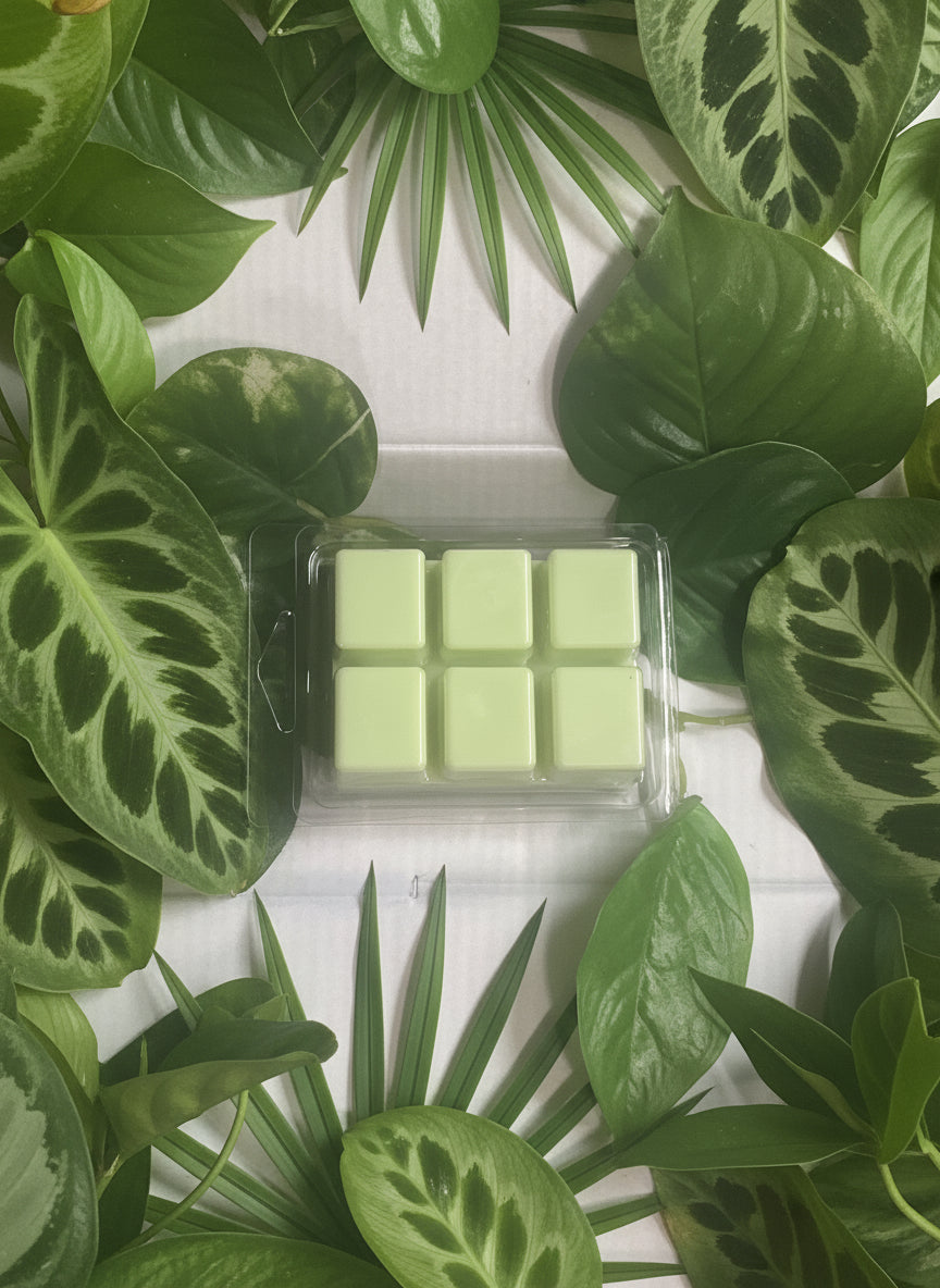 Bergamot Musk Wax Melts 2.5oz Six Cube Warmer Tart