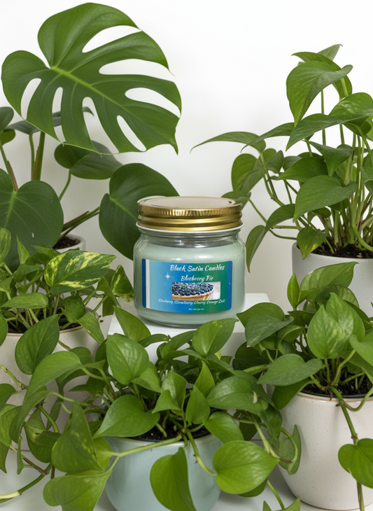 Blueberry Pie Scented Candle 8oz Single Cotton Wick Glass Jar