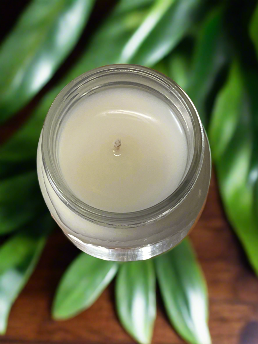 Mulberry Fire Scented Candle 16oz Single Cotton Wick Glass Jar