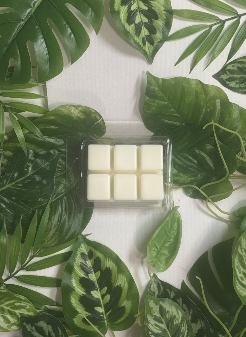 Coastal Breeze  Wax Melts 2.5oz Six Cube Warmer Tart