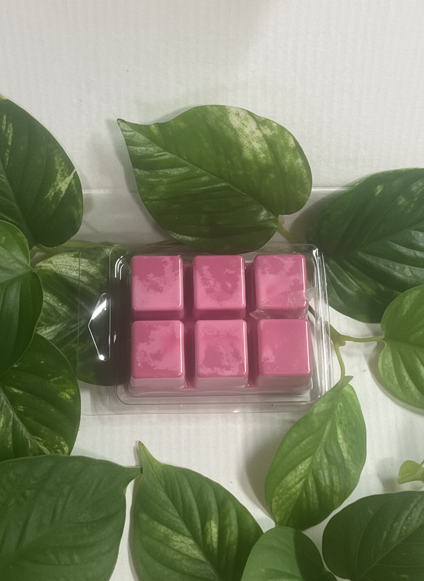 Babe Blossom  Wax Melts 2.5oz Six Cube Warmer Tart