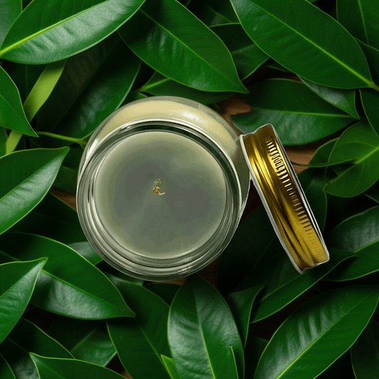 Blueberry Pie Scented Candle 16oz Single Cotton Wick Glass Jar