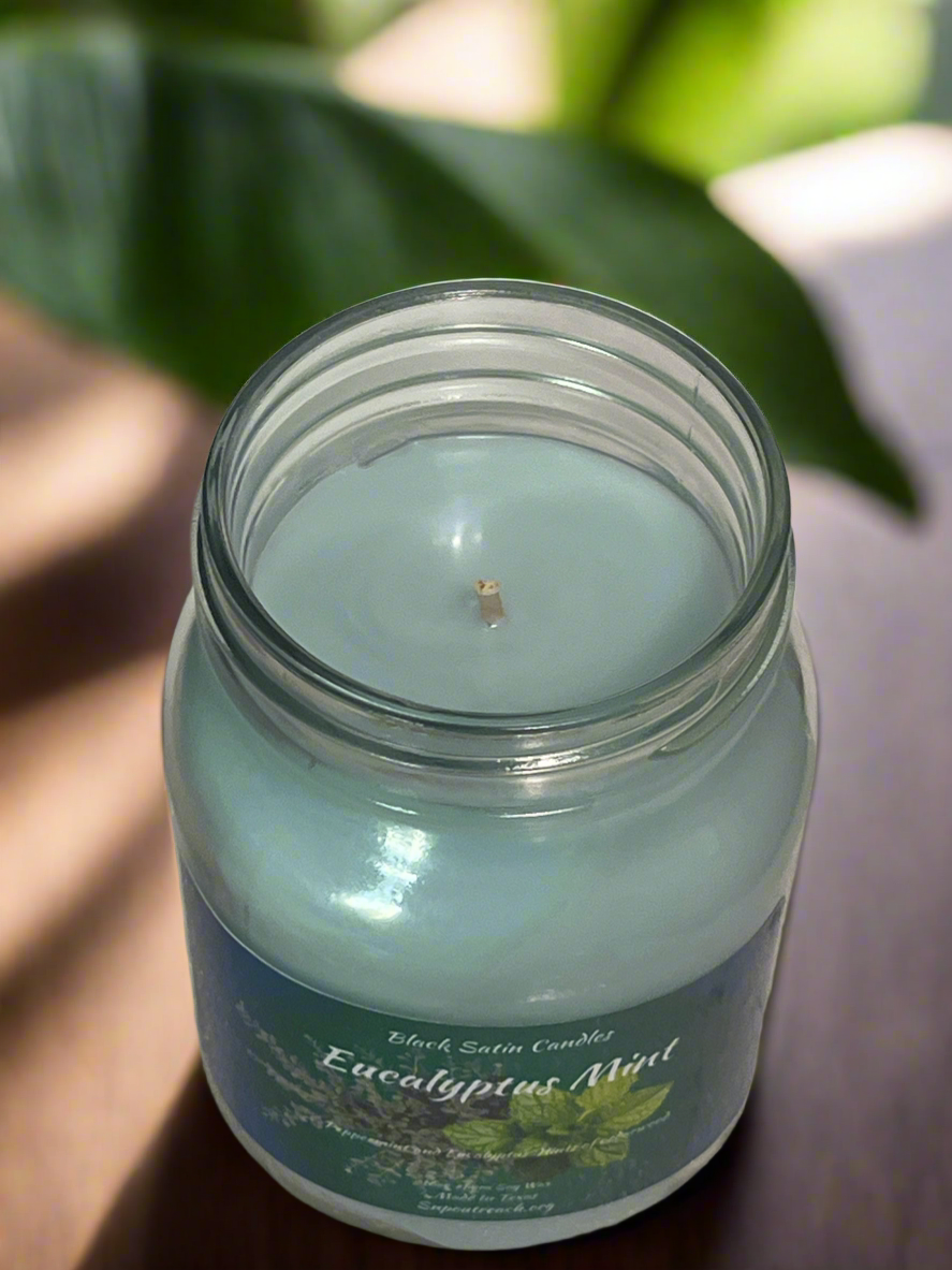 Eucalyptus & Mint Scented Candle 16oz Single Cotton Wick Glass Jar