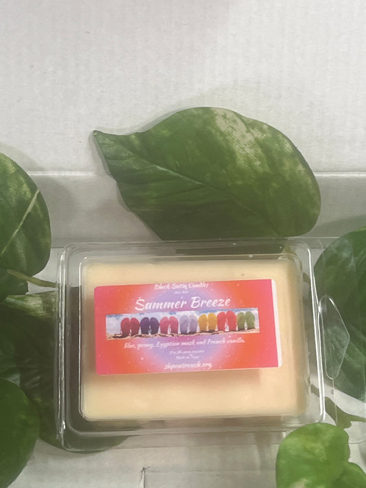 Summer Breeze Scented Wax Melt 2.5oz Six Cube Warmer Tart